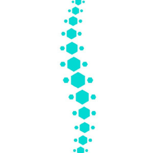 Clément Guillon Verne - Ostéopathe Campénéac, 